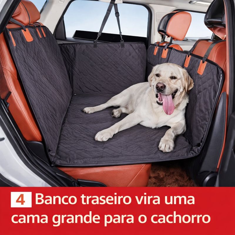 Banco pronto para o cachorro
